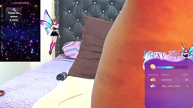 AnySugar webcam