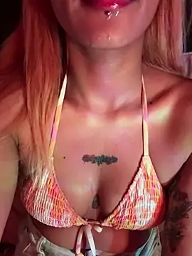 Virgo_666_ webcam