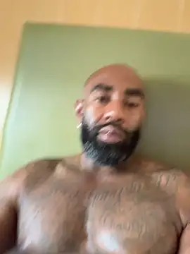 QHefner52 webcam
