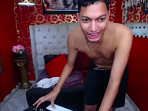 PEINBOYS webcam