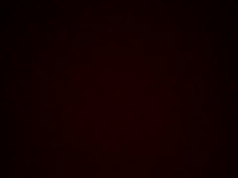 vanillapieh webcam