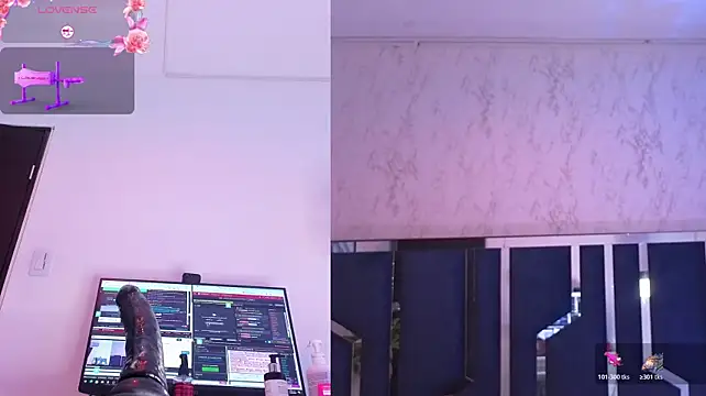 CamiloSeed webcam