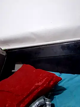 xt500 webcam