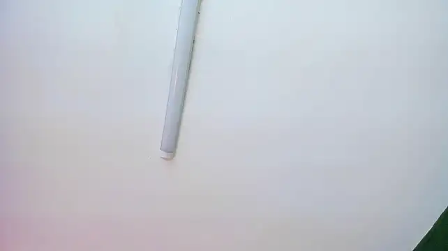 Arii_anna_ webcam