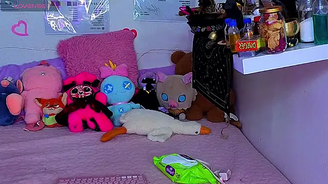 tetonic_04 webcam