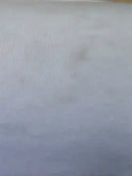 Congee-666 webcam
