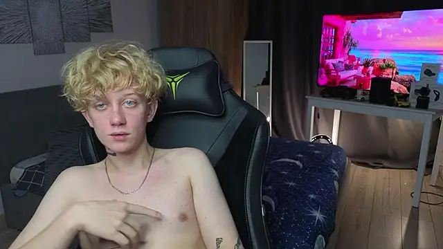 skydian webcam
