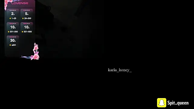 Spit_queen webcam