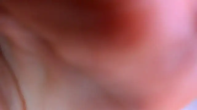 _lynna webcam