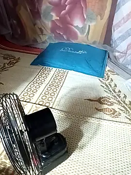 doggy-00 webcam