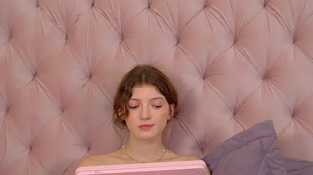 SophiaProve webcam