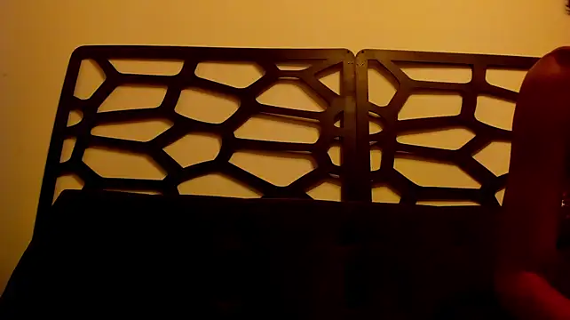 snner-velvet webcam