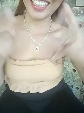 Seiciz webcam