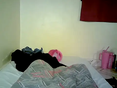 Snow_eye webcam