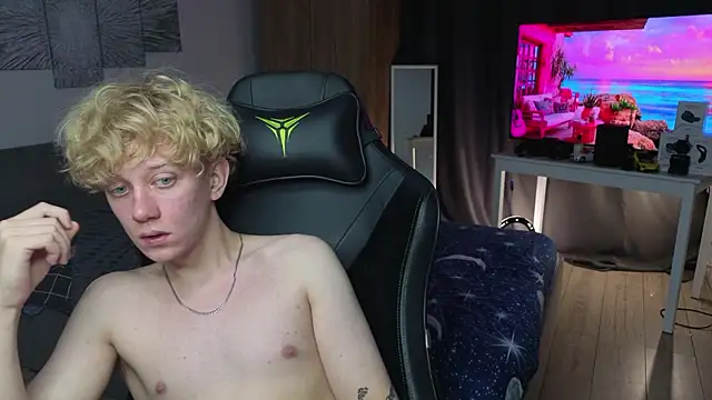 skydian webcam