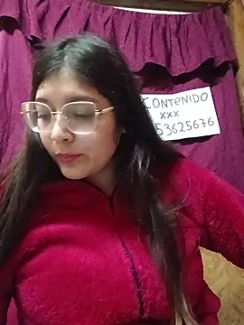 contenidorik webcam