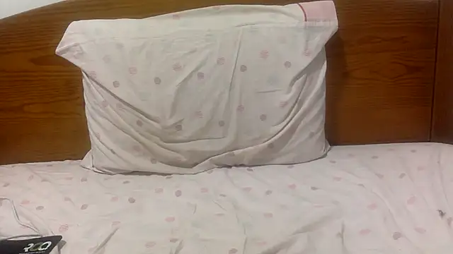 Noflasherino webcam