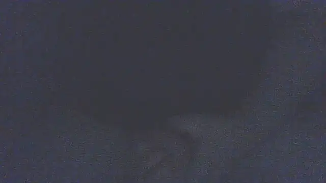 emr077 webcam