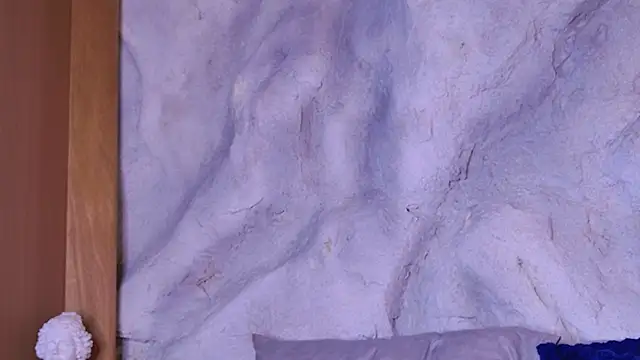 bella_mush webcam
