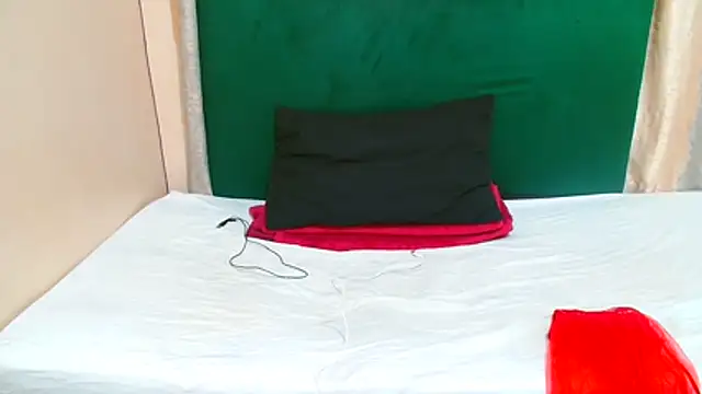 ThickTigress webcam