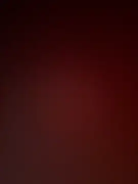 alice_n_mike webcam