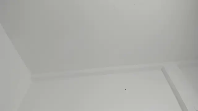 Ebony_danik webcam