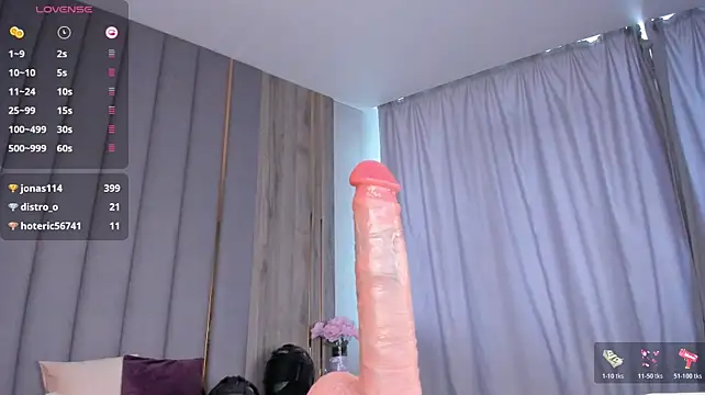 Seiko_swan webcam