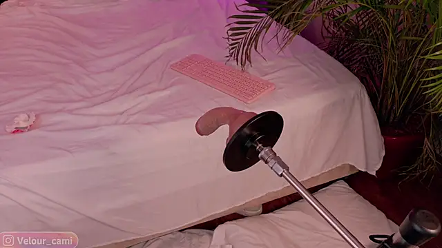 CamilaVelour webcam