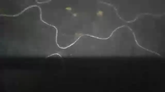 EmayGero888 webcam