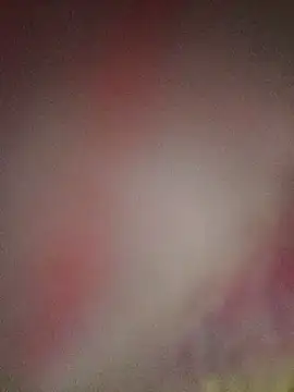 repineixo webcam