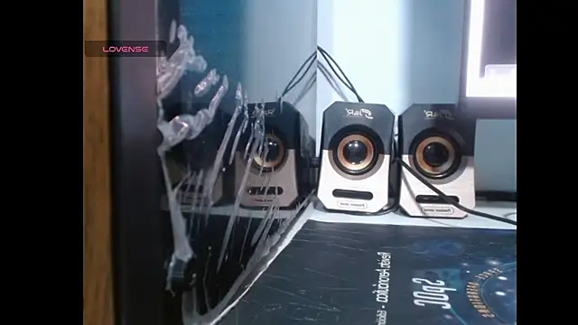 aria1609 webcam