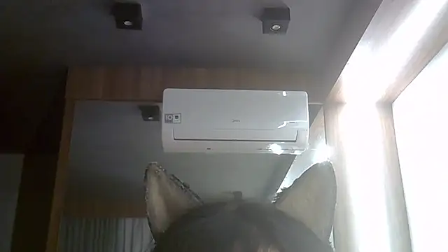 SkinnyKitten webcam