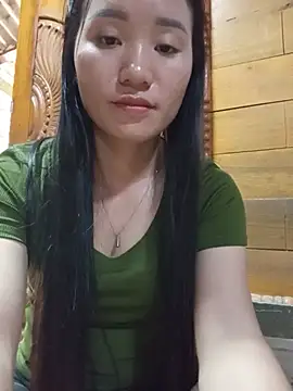 Td3di webcam