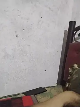 salimbasha webcam