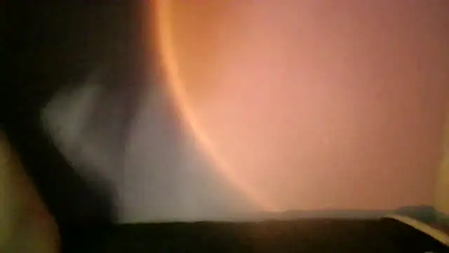 Virtual_nekoo webcam