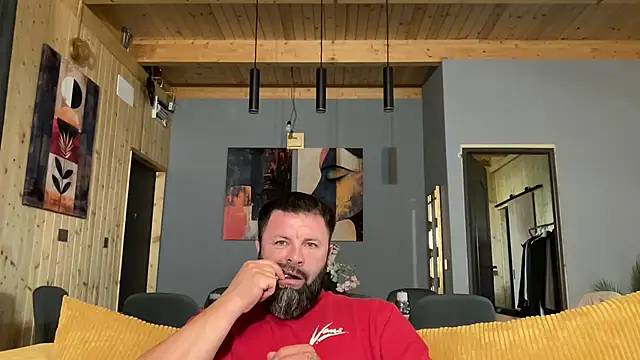 AlphaSparks webcam