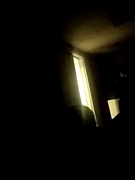 AceticPinscher webcam