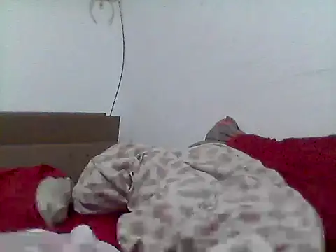 _bahya webcam