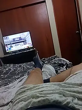 Hugopingonasa2024 webcam