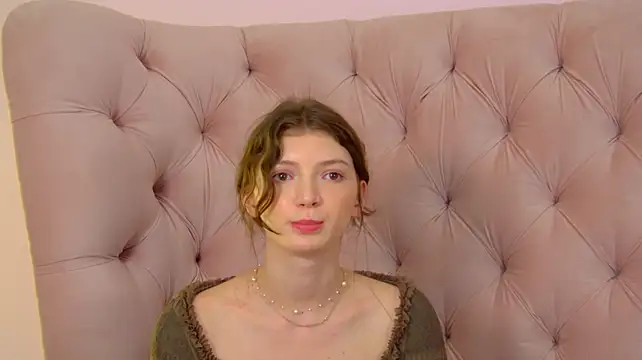 SophiaProve webcam