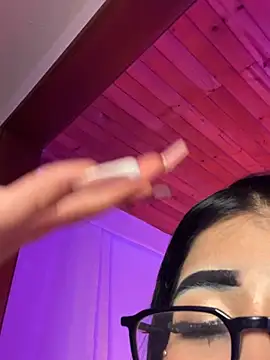 -Brittanny webcam
