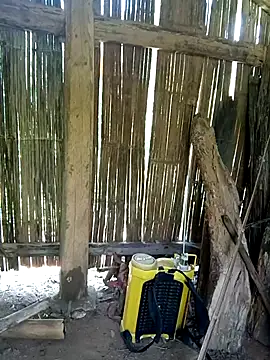 Littlebabyk9 webcam