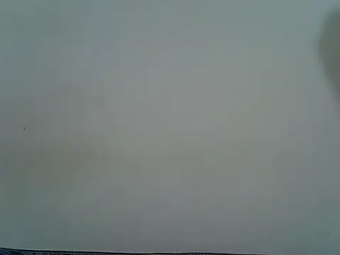 Creamy_ray_ webcam