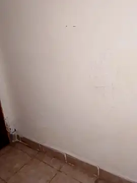 tashamee webcam