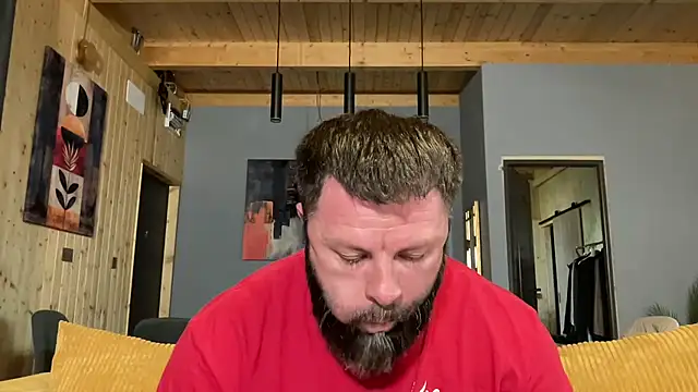 AlphaSparks webcam