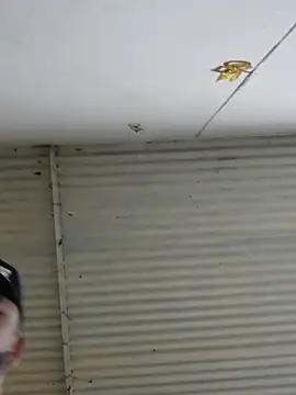 PIGHIGHDIRTY_p0