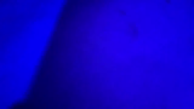 HodgeVibes webcam