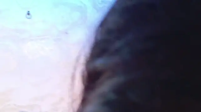 leyton_sasha webcam