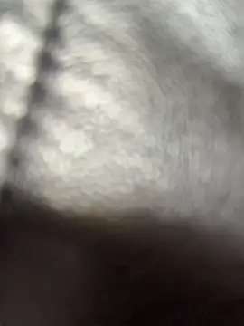 LikaCat webcam
