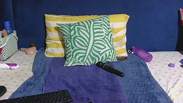 Melitaxx webcam